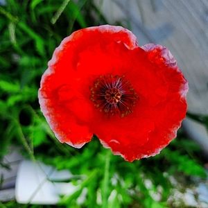 Meet your Posher, Jaya